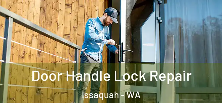 Door Handle Lock Repair Issaquah - WA