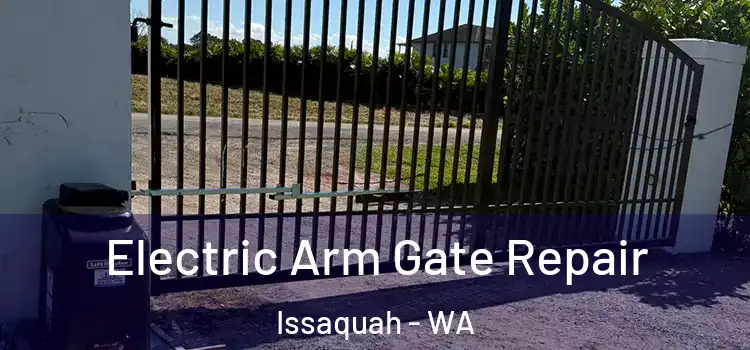 Electric Arm Gate Repair Issaquah - WA