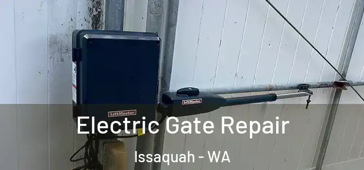 Electric Gate Repair Issaquah - WA