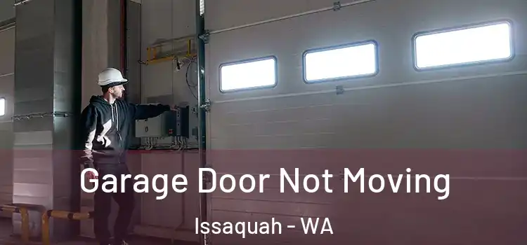  Garage Door Not Moving Issaquah - WA