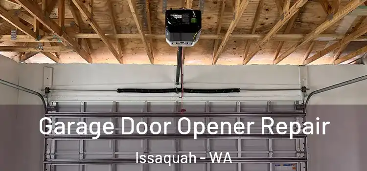  Garage Door Opener Repair Issaquah - WA