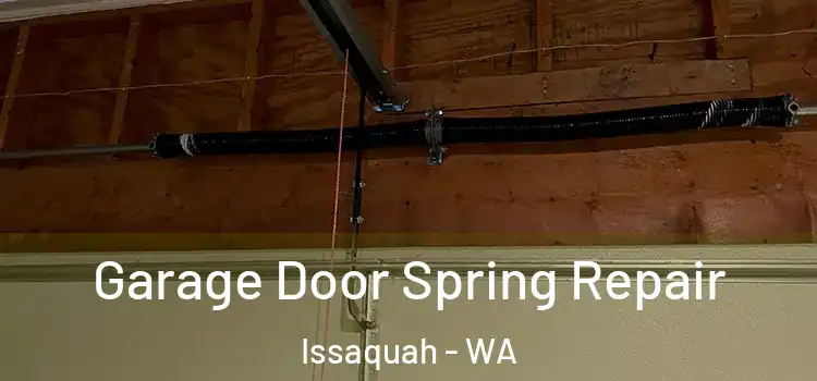  Garage Door Spring Repair Issaquah - WA