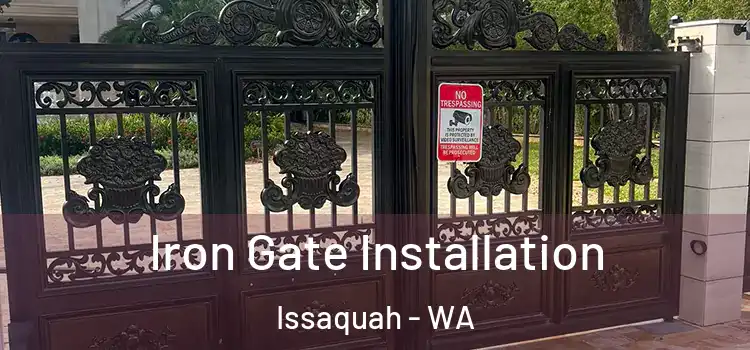 Iron Gate Installation Issaquah - WA