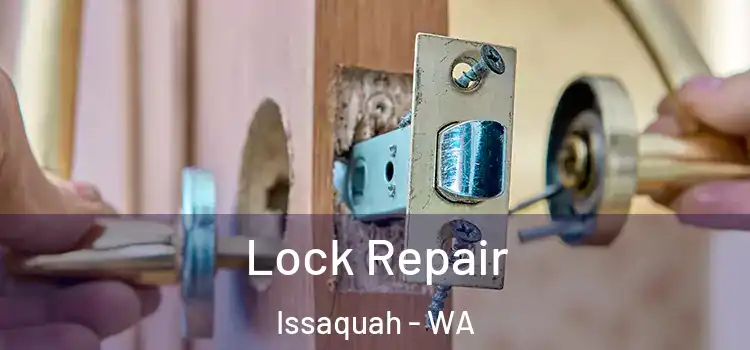 Lock Repair Issaquah - WA