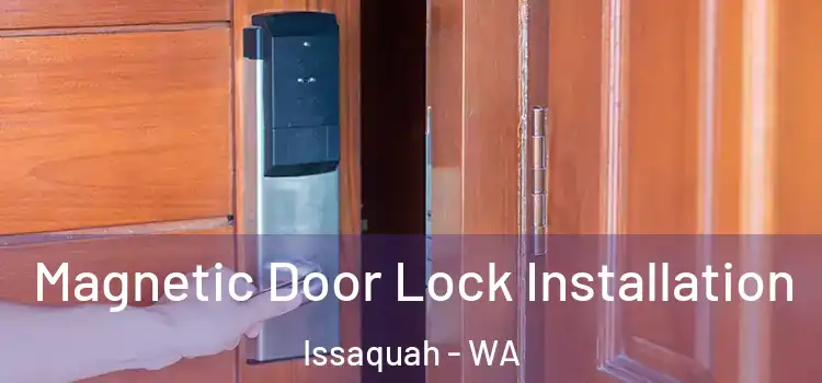  Magnetic Door Lock Installation Issaquah - WA