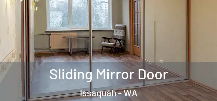  Sliding Mirror Door Issaquah - WA