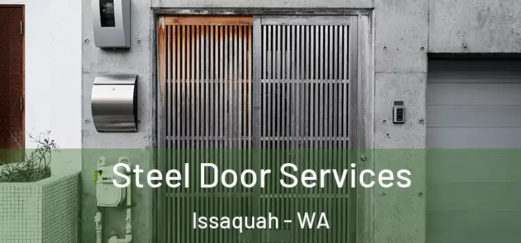 Steel Door Services Issaquah - WA