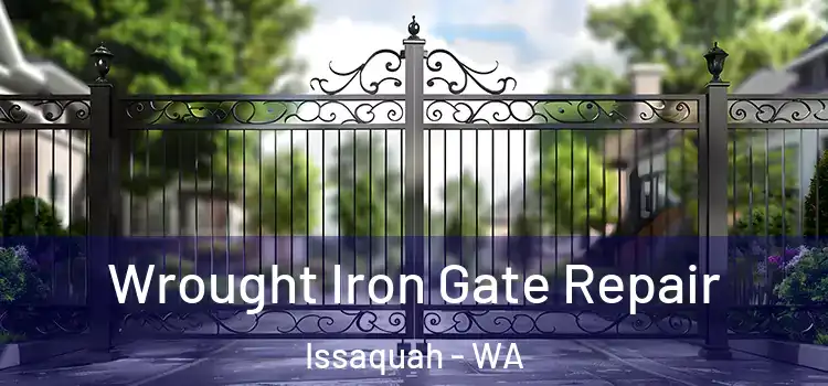 Wrought Iron Gate Repair Issaquah - WA